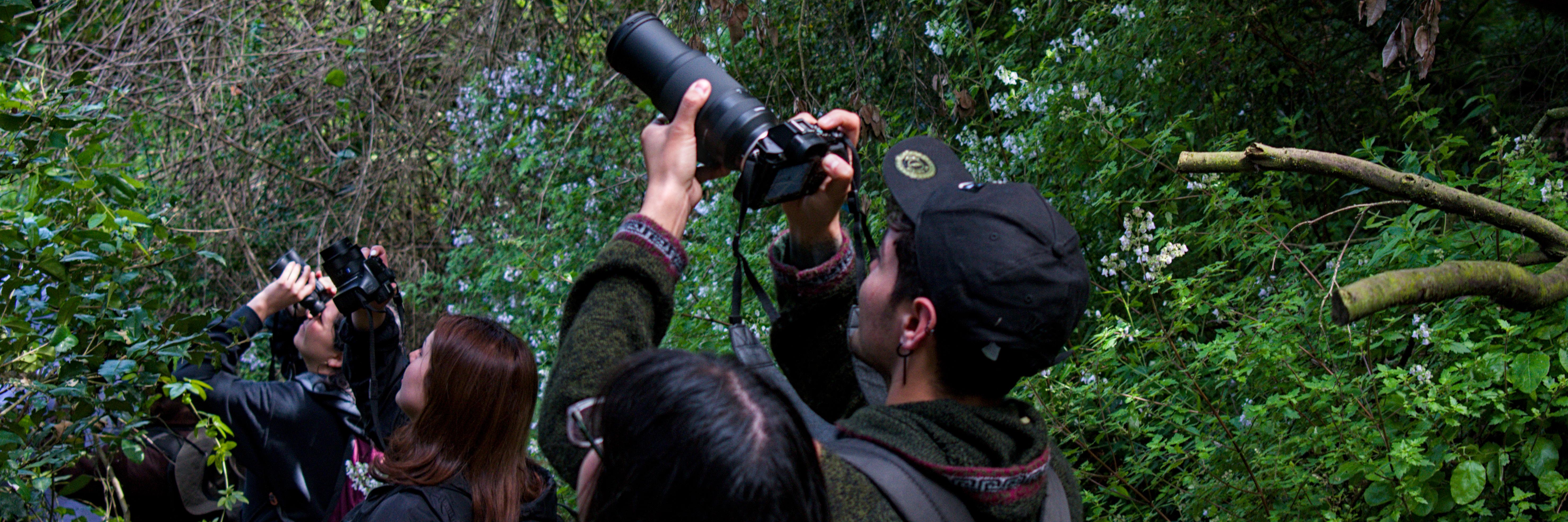 Observación de aves