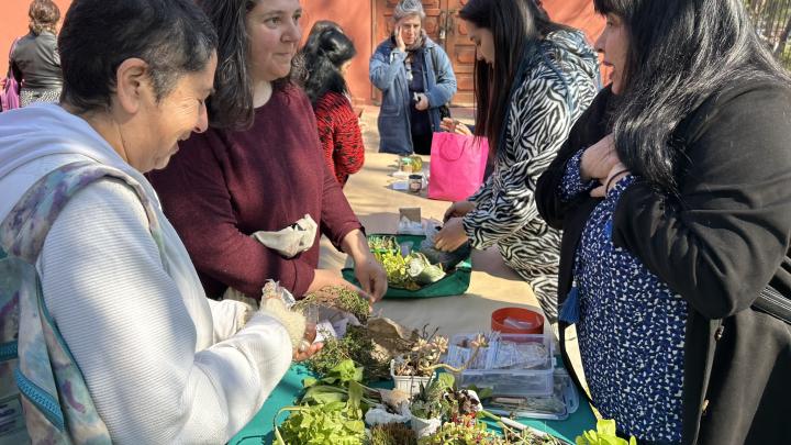 Intercambiando plantas