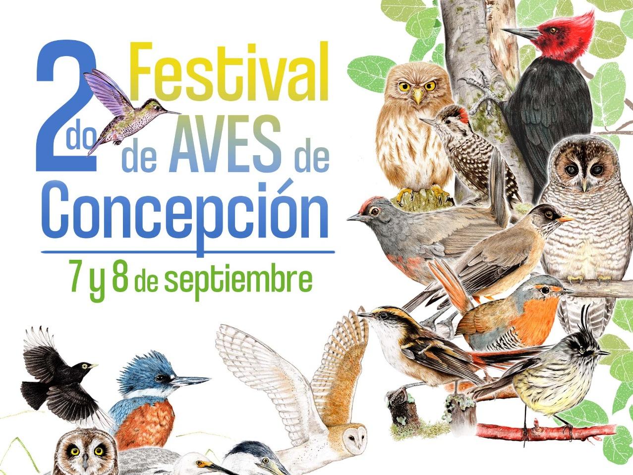 Afiche festival de aves