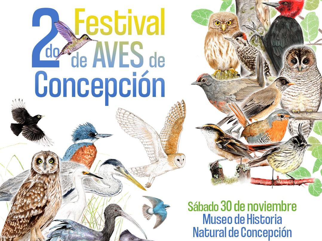 Afiche festival de aves de Concepción