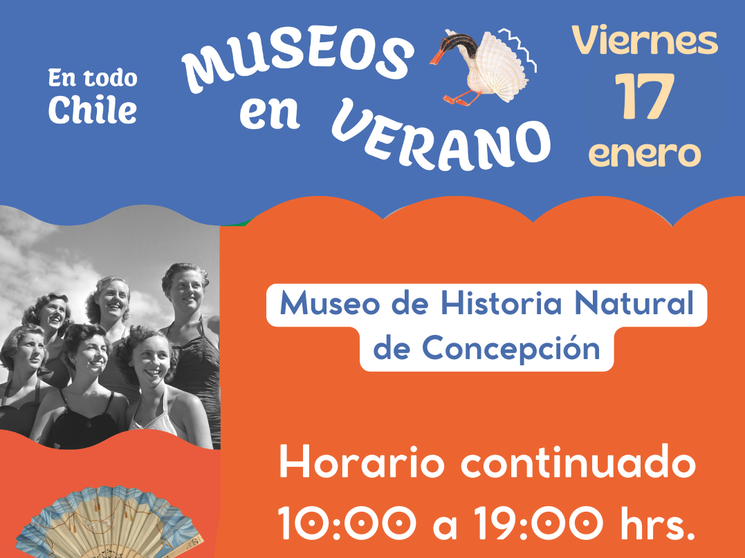 afiche museos de verano